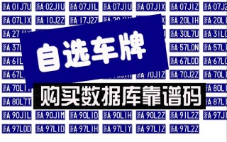 群确！南通网上自编车牌号码技巧“车命马本”