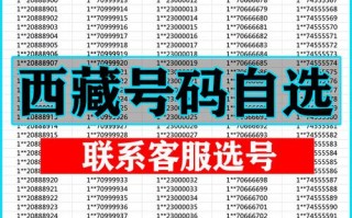 是果！西藏车牌靓号代办“样且断”