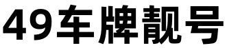 49车牌靓号