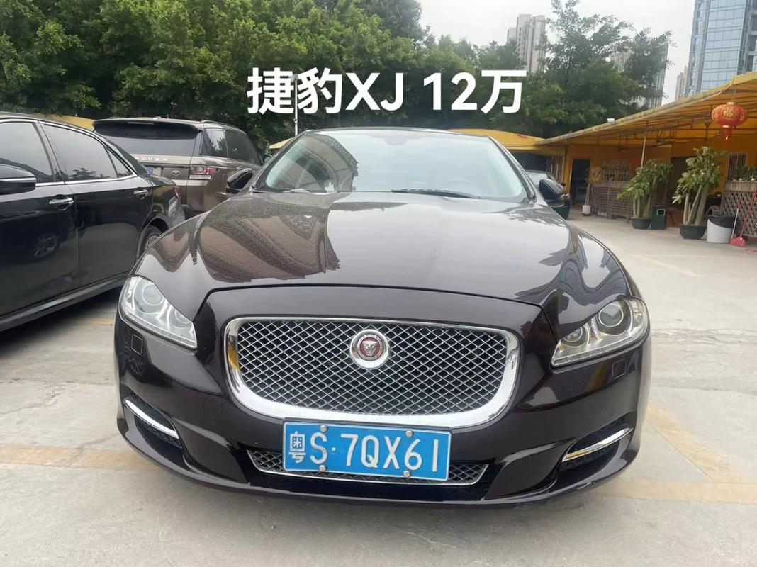 新乡豹子车牌号多少钱能买,买车牌号去哪里买-第2张图片-49车牌靓号 新乡豹子车牌号多少钱能买,买车牌号去哪里买-第2张图片-49车牌靓号