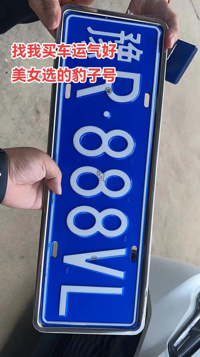 黄山车牌豹子购买渠道,顺号车牌号多少钱一个-第3张图片-49车牌靓号 黄山车牌豹子购买渠道,顺号车牌号多少钱一个-第3张图片-49车牌靓号