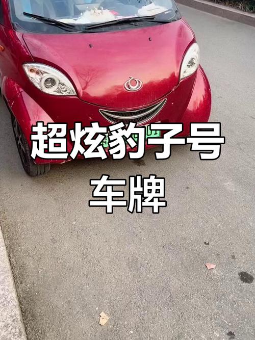 白银豹子车牌号多少钱能买,买车牌号去哪里买-第3张图片-49车牌靓号 白银豹子车牌号多少钱能买,买车牌号去哪里买-第3张图片-49车牌靓号