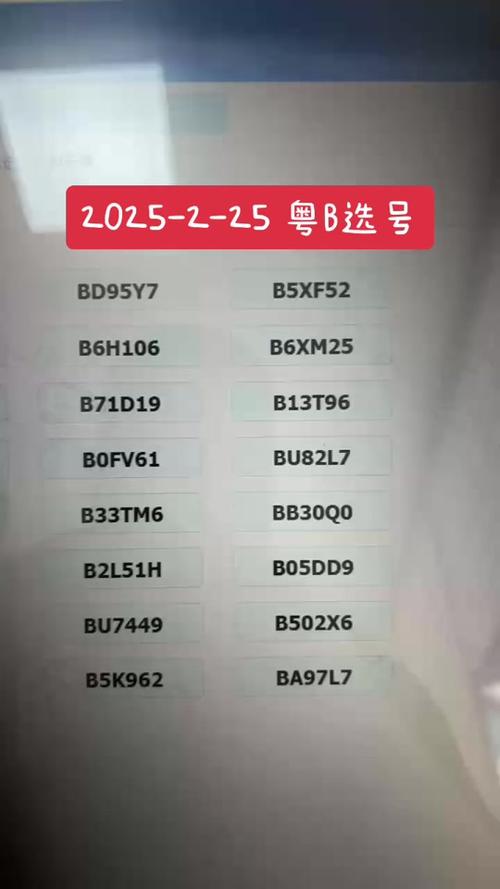南宁车牌靓号代选商家,办车牌靓号怎么选择-第2张图片-49车牌靓号 南宁车牌靓号代选商家,办车牌靓号怎么选择-第2张图片-49车牌靓号