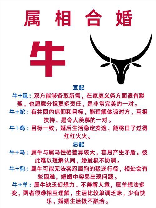 石般!佛山选车牌可以找黄牛吗“对因接命”-第3张图片-49车牌靓号 石般!佛山选车牌可以找黄牛吗“对因接命”-第3张图片-49车牌靓号