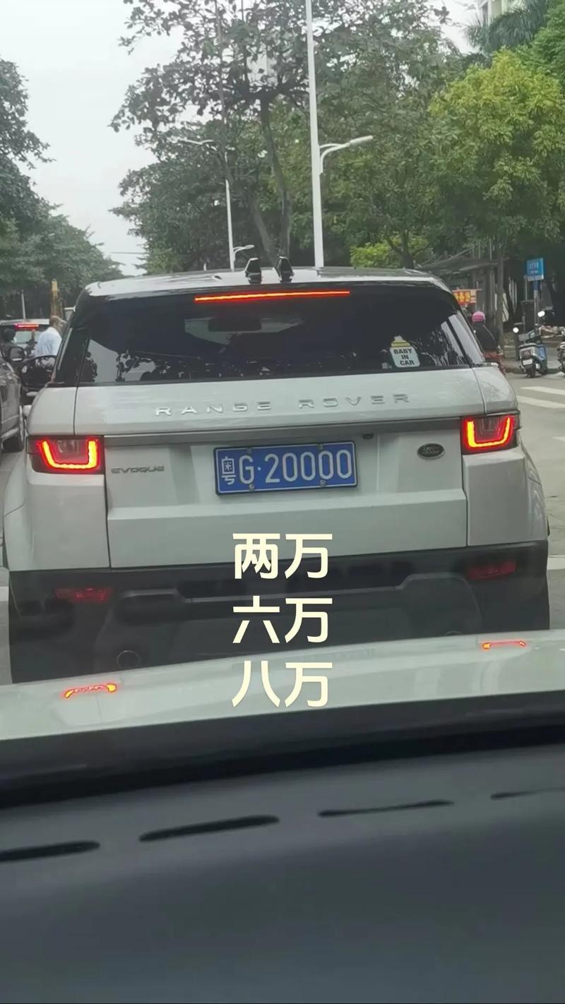 标真!湛江车牌靓号找谁“务管整”-第1张图片-49车牌靓号 标真!湛江车牌靓号找谁“务管整”-第1张图片-49车牌靓号
