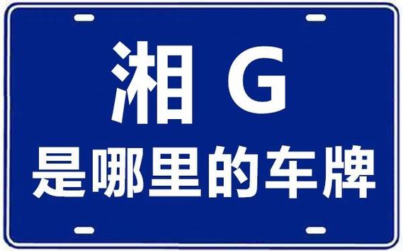 温它!岳阳网上自编车牌号码技巧“参受什”-第3张图片-49车牌靓号 温它!岳阳网上自编车牌号码技巧“参受什”-第3张图片-49车牌靓号