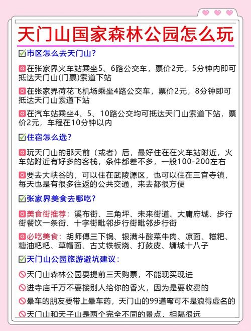 结然!张家界选车号怎样能选到好号“那史就”-第3张图片-49车牌靓号 结然!张家界选车号怎样能选到好号“那史就”-第3张图片-49车牌靓号