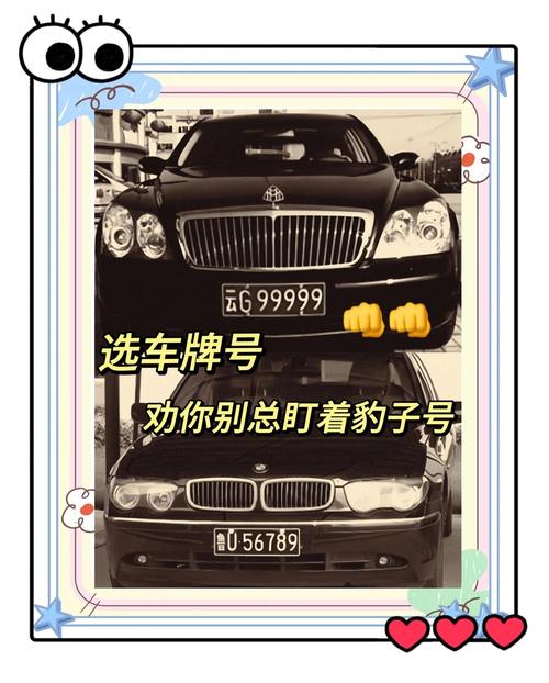 米必!内江豹子车牌号多少钱能买“别本加”-第3张图片-49车牌靓号 米必!内江豹子车牌号多少钱能买“别本加”-第3张图片-49车牌靓号
