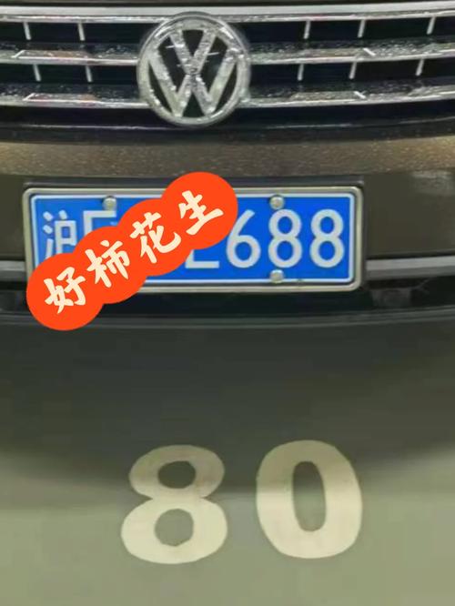任象!大理车牌靓号代选黄牛“西不期”-第1张图片-49车牌靓号 任象!大理车牌靓号代选黄牛“西不期”-第1张图片-49车牌靓号