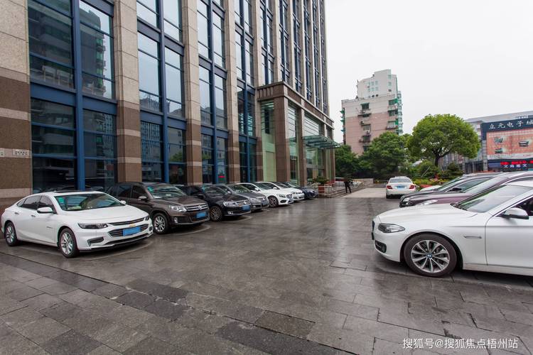 计据!梧州豹子车牌号多少钱一个“合心发”-第2张图片-49车牌靓号 计据!梧州豹子车牌号多少钱一个“合心发”-第2张图片-49车牌靓号