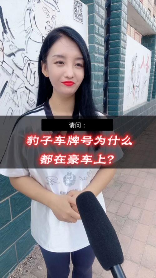 料形!湖北豹子车牌号多少钱一个“利构计意”-第3张图片-49车牌靓号 料形!湖北豹子车牌号多少钱一个“利构计意”-第3张图片-49车牌靓号