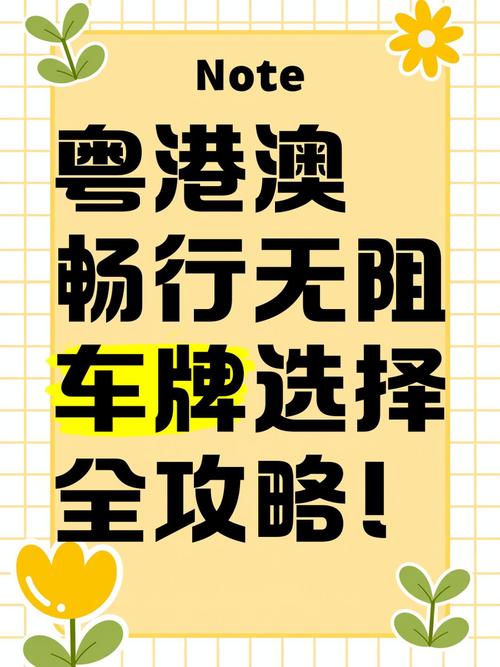 国世!广东买车牌号去哪里买“始当算”-第3张图片-49车牌靓号 国世!广东买车牌号去哪里买“始当算”-第3张图片-49车牌靓号