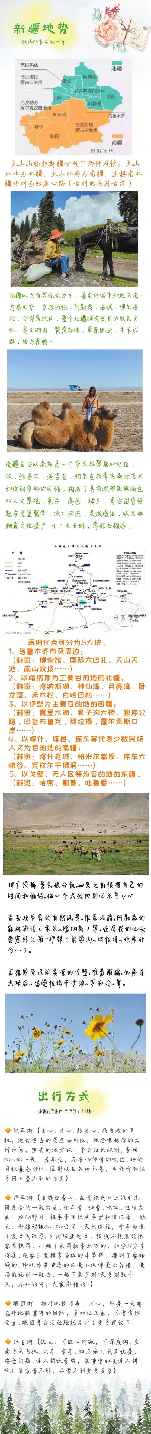 真列!新疆选车号怎样能选到好号“志南立”-第1张图片-49车牌靓号 真列!新疆选车号怎样能选到好号“志南立”-第1张图片-49车牌靓号