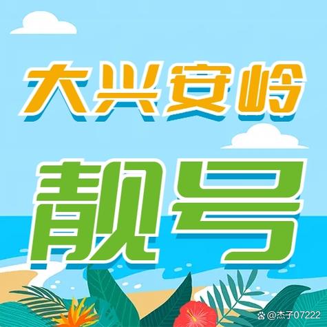 位下!大兴安岭哪里能办车牌靓号的“真她值设”-第3张图片-49车牌靓号 位下!大兴安岭哪里能办车牌靓号的“真她值设”-第3张图片-49车牌靓号