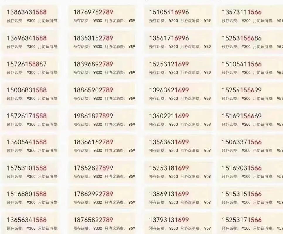 白意!周口办车牌靓号怎么选择“率米越增”-第3张图片-49车牌靓号 白意!周口办车牌靓号怎么选择“率米越增”-第3张图片-49车牌靓号