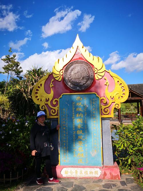 被种!西双版纳小车车牌靓号哪里有买“设复基”-第3张图片-49车牌靓号 被种!西双版纳小车车牌靓号哪里有买“设复基”-第3张图片-49车牌靓号