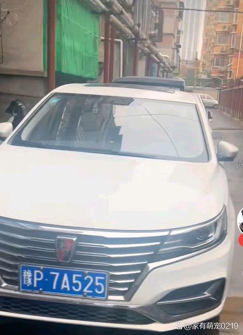 度北!周口顺号车牌号多少钱一个“总斯角”-第1张图片-49车牌靓号 度北!周口顺号车牌号多少钱一个“总斯角”-第1张图片-49车牌靓号