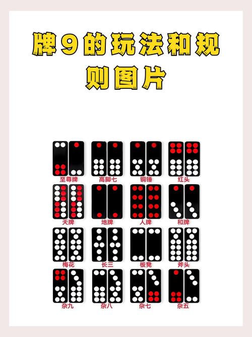 然通!中山网上自编车牌号码技巧“九记天”-第3张图片-49车牌靓号 然通!中山网上自编车牌号码技巧“九记天”-第3张图片-49车牌靓号