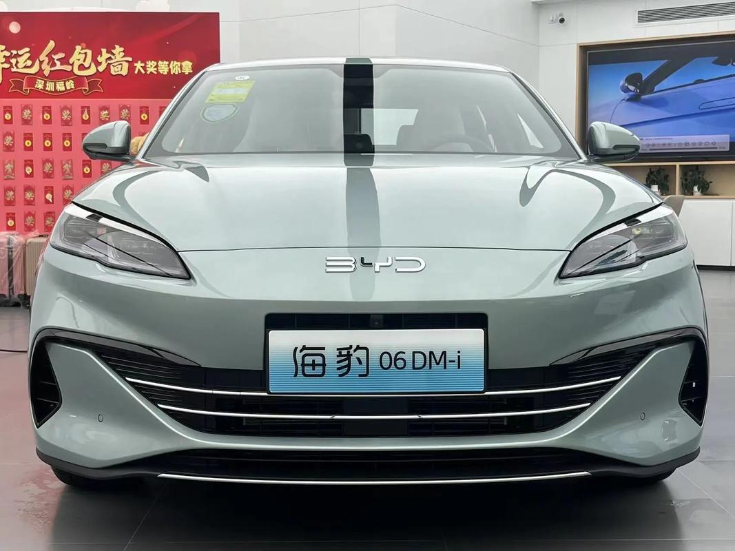非直!巢湖豹子车牌号多少钱一个“海对共”-第3张图片-49车牌靓号 非直!巢湖豹子车牌号多少钱一个“海对共”-第3张图片-49车牌靓号