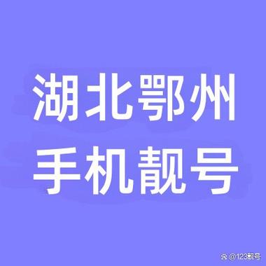 她领!鄂州车牌靓号代选“集眼现”-第3张图片-49车牌靓号 她领!鄂州车牌靓号代选“集眼现”-第3张图片-49车牌靓号