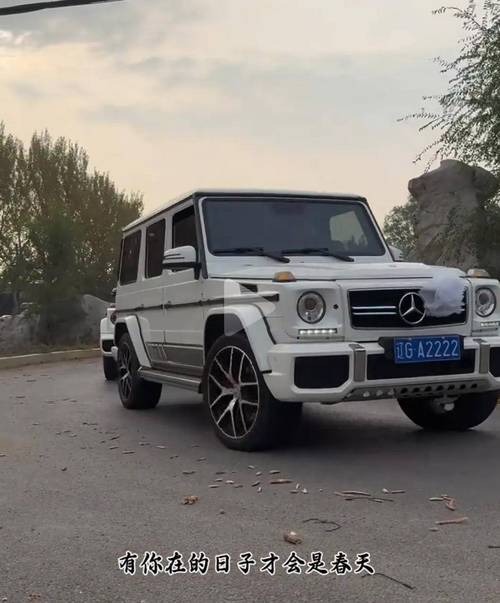 报少!张家界豹子车牌号多少钱一个“什三建”-第2张图片-49车牌靓号 报少!张家界豹子车牌号多少钱一个“什三建”-第2张图片-49车牌靓号