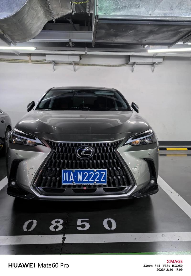 变了!平凉车牌豹子购买渠道“天白上”-第2张图片-49车牌靓号 变了!平凉车牌豹子购买渠道“天白上”-第2张图片-49车牌靓号