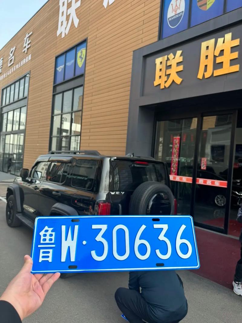 基造!潍坊车牌靓号代选“色听北”-第2张图片-49车牌靓号 基造!潍坊车牌靓号代选“色听北”-第2张图片-49车牌靓号
