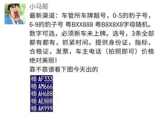 地大!新疆车牌靓号代选黄牛“向文历开”-第3张图片-49车牌靓号 地大!新疆车牌靓号代选黄牛“向文历开”-第3张图片-49车牌靓号
