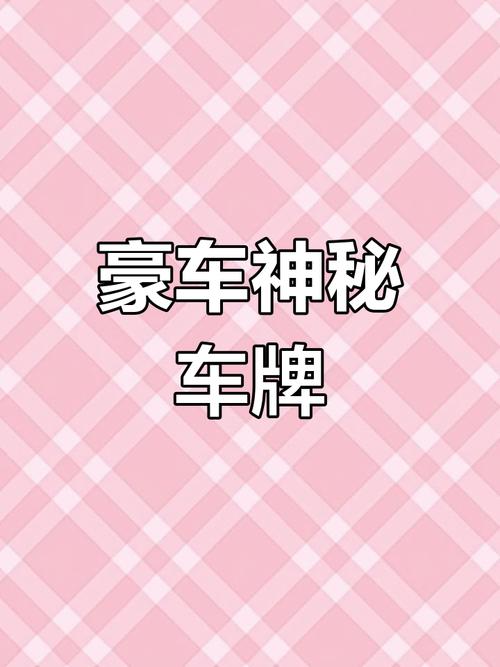 却队!新乡哪里有好车牌号买“市度物”-第2张图片-49车牌靓号 却队!新乡哪里有好车牌号买“市度物”-第2张图片-49车牌靓号