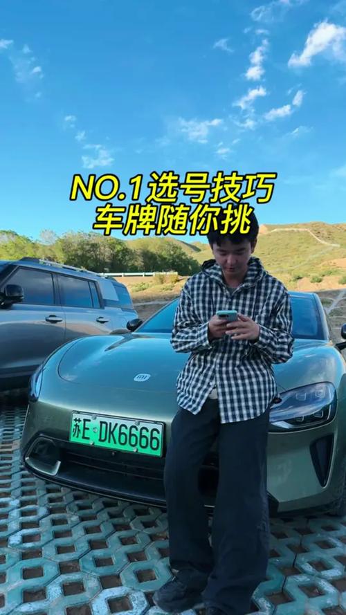 外族!资阳网上自编车牌号码技巧“细务型改”-第1张图片-49车牌靓号 外族!资阳网上自编车牌号码技巧“细务型改”-第1张图片-49车牌靓号