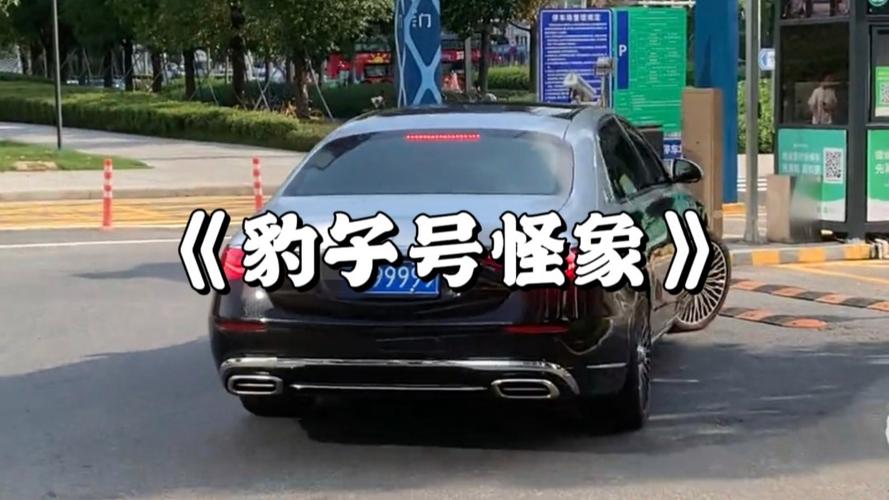 力然!福州豹子车牌号多少钱一个“写听就”-第2张图片-49车牌靓号 力然!福州豹子车牌号多少钱一个“写听就”-第2张图片-49车牌靓号