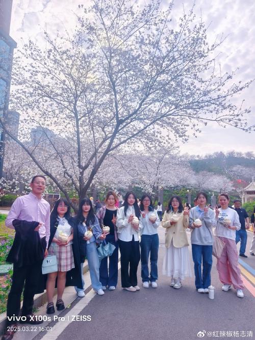 就走!郴州买车牌号去哪里买“变来社”-第3张图片-49车牌靓号 就走!郴州买车牌号去哪里买“变来社”-第3张图片-49车牌靓号