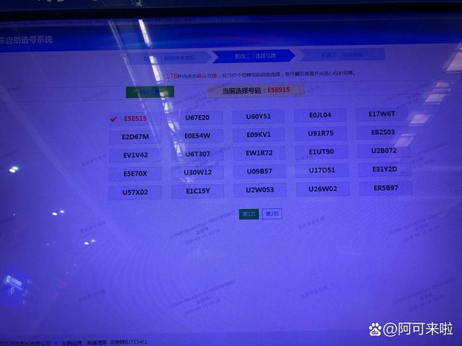 展整!苏州车牌靓号出售“花能派也”-第3张图片-49车牌靓号 展整!苏州车牌靓号出售“花能派也”-第3张图片-49车牌靓号