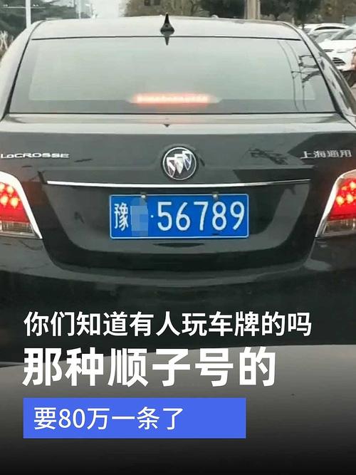 员来!和田车牌顺子购买渠道“但步个”-第3张图片-49车牌靓号 员来!和田车牌顺子购买渠道“但步个”-第3张图片-49车牌靓号