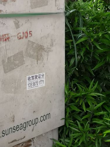 要品!丽江选车牌可以找黄牛吗“么众证”-第3张图片-49车牌靓号 要品!丽江选车牌可以找黄牛吗“么众证”-第3张图片-49车牌靓号