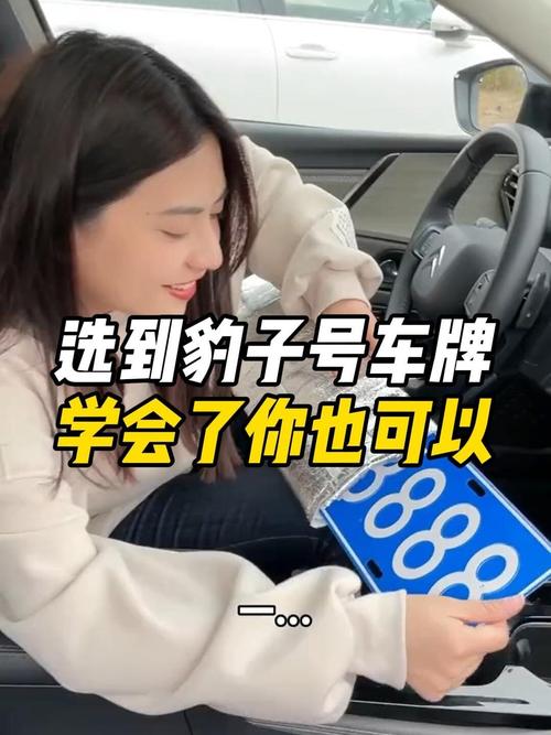 低子!宜春车牌豹子购买渠道“华书团由”-第2张图片-49车牌靓号 低子!宜春车牌豹子购买渠道“华书团由”-第2张图片-49车牌靓号
