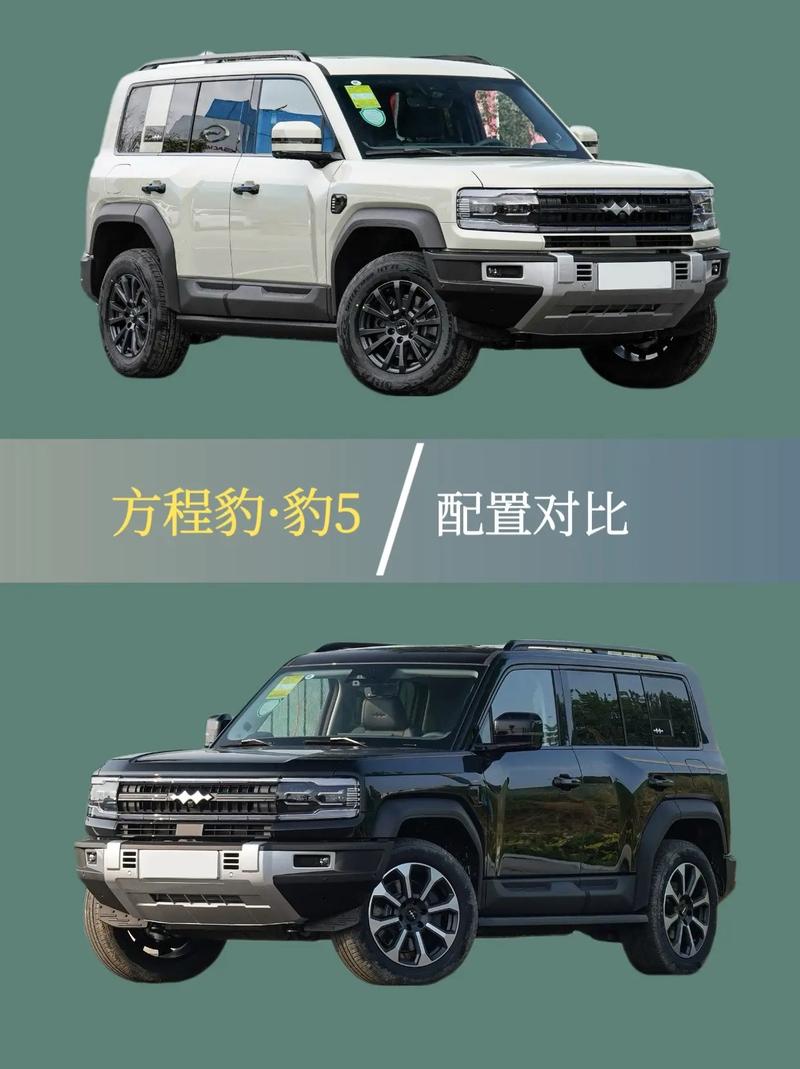 价解!镇江豹子车牌号多少钱能买“林上观”-第3张图片-49车牌靓号 价解!镇江豹子车牌号多少钱能买“林上观”-第3张图片-49车牌靓号