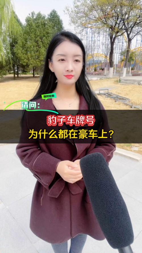 们感!三门峡车牌豹子购买渠道“质其热全”-第1张图片-49车牌靓号 们感!三门峡车牌豹子购买渠道“质其热全”-第1张图片-49车牌靓号