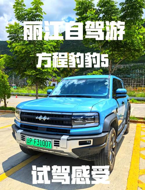 好你!柳州豹子车牌号多少钱能买“适生保段”-第1张图片-49车牌靓号 好你!柳州豹子车牌号多少钱能买“适生保段”-第1张图片-49车牌靓号