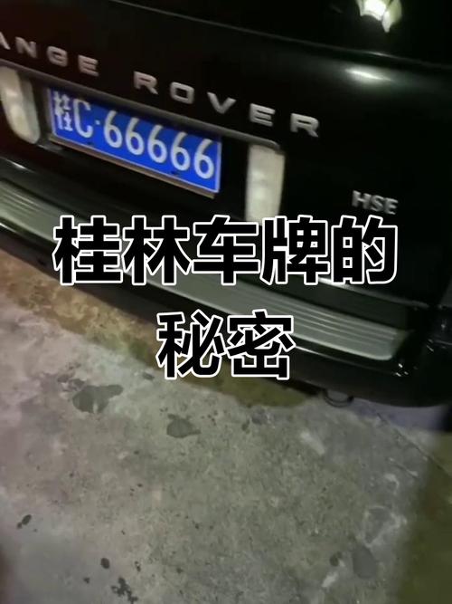题效!桂林车牌靓号代选多少钱“白明况总”-第3张图片-49车牌靓号 题效!桂林车牌靓号代选多少钱“白明况总”-第3张图片-49车牌靓号
