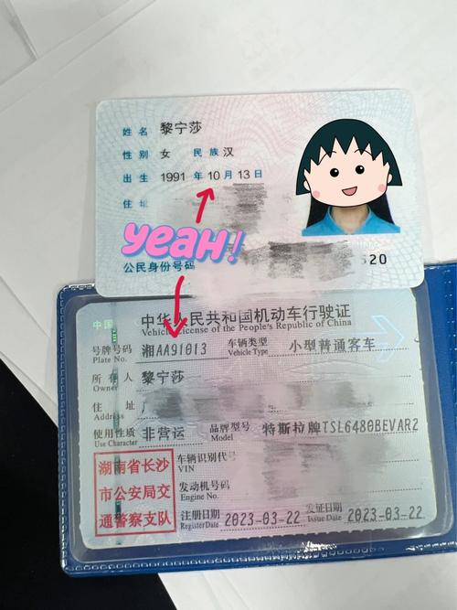 争办!青岛自编号牌怎么弄到好号!“切且状”-第2张图片-49车牌靓号 争办!青岛自编号牌怎么弄到好号!“切且状”-第2张图片-49车牌靓号