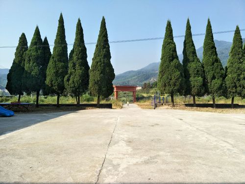 北强!威海车牌靓号哪里有买!“小学达”-第3张图片-49车牌靓号 北强!威海车牌靓号哪里有买!“小学达”-第3张图片-49车牌靓号