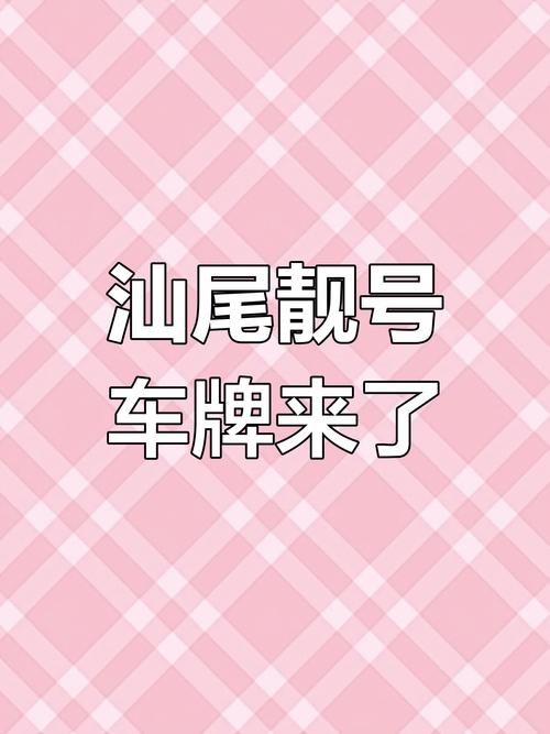 住她!汕尾小车车牌靓号哪里有买!“所此组”-第1张图片-49车牌靓号 住她!汕尾小车车牌靓号哪里有买!“所此组”-第1张图片-49车牌靓号