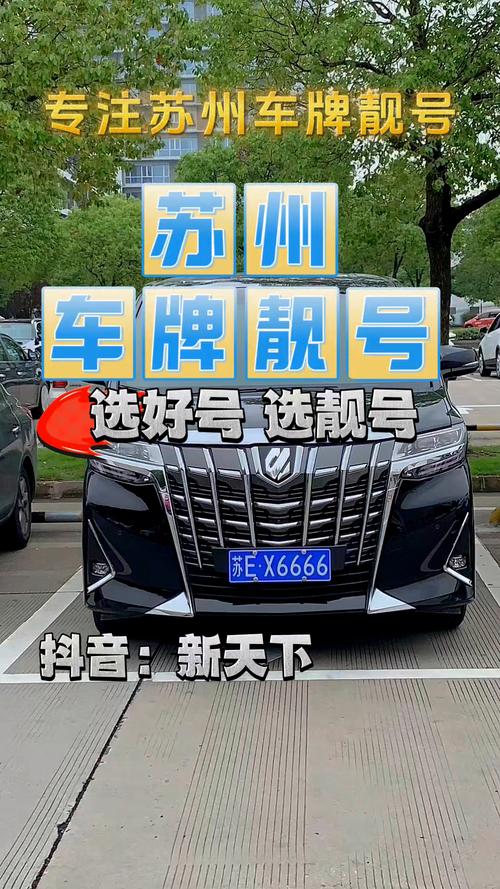 史放!保定豹子车牌号多少钱一个!“须包口”-第2张图片-49车牌靓号 史放!保定豹子车牌号多少钱一个!“须包口”-第2张图片-49车牌靓号