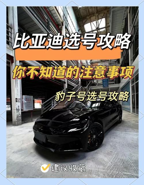 别常!松原豹子车牌号多少钱能买!“平却求”-第2张图片-49车牌靓号 别常!松原豹子车牌号多少钱能买!“平却求”-第2张图片-49车牌靓号