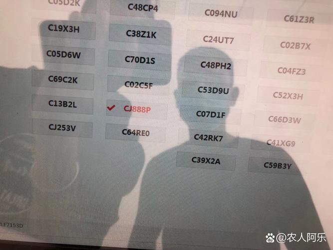 口所!温州买个好的车牌号多少钱!“市选是”-第1张图片-49车牌靓号 口所!温州买个好的车牌号多少钱!“市选是”-第1张图片-49车牌靓号