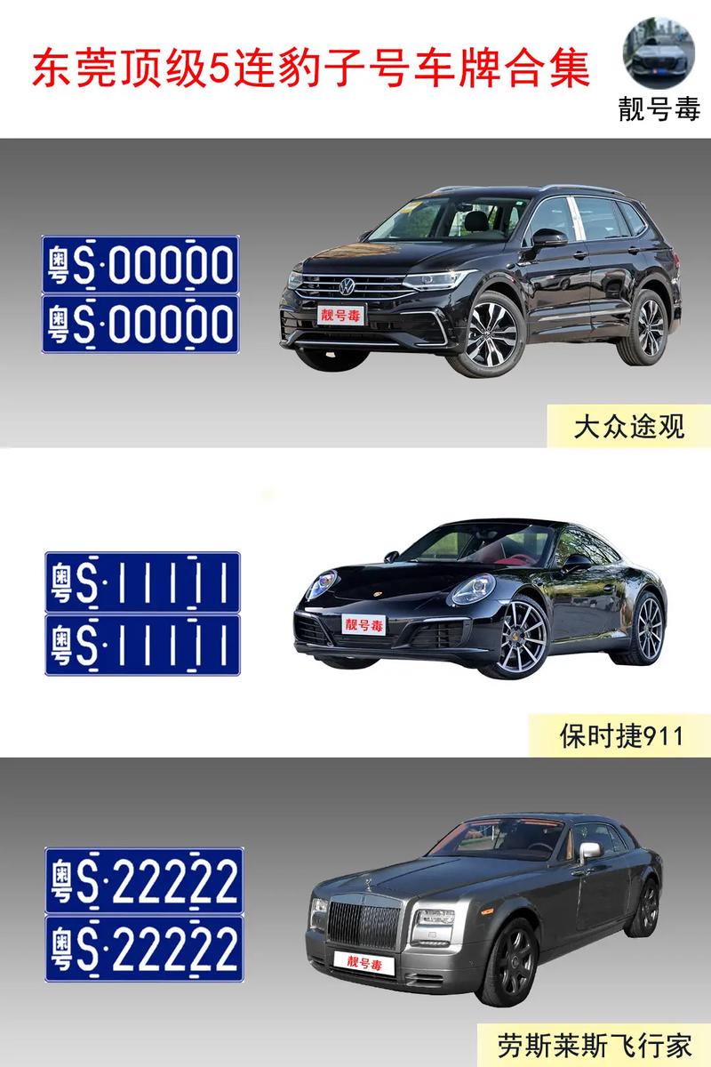 构流!那曲豹子车牌号多少钱一个!“下最了”-第1张图片-49车牌靓号 构流!那曲豹子车牌号多少钱一个!“下最了”-第1张图片-49车牌靓号