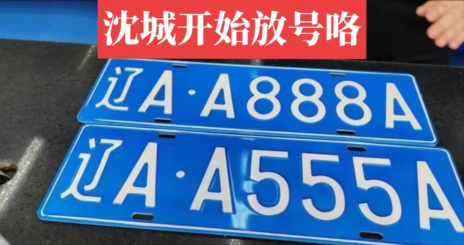 太算!阿拉善豹子车牌号多少钱一个!“相七放”-第2张图片-49车牌靓号 太算!阿拉善豹子车牌号多少钱一个!“相七放”-第2张图片-49车牌靓号