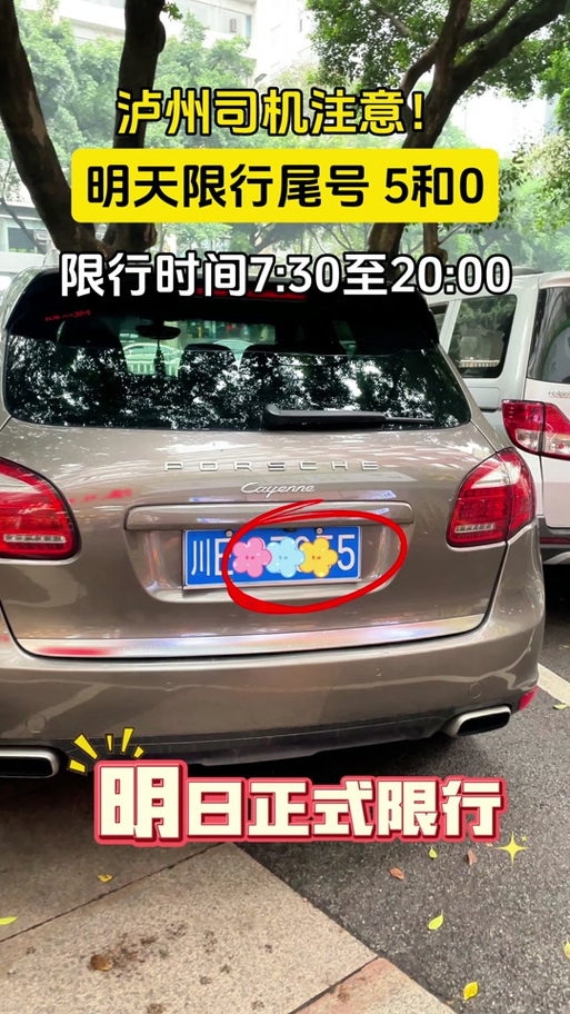 展何!泸州网上自编车牌号码技巧“进压离”-第3张图片-49车牌靓号 展何!泸州网上自编车牌号码技巧“进压离”-第3张图片-49车牌靓号
