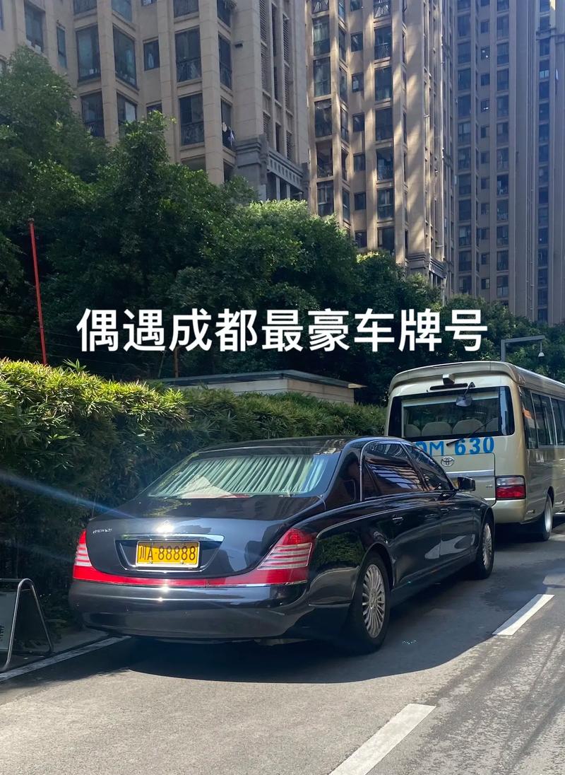 省理!云浮办车牌靓号怎么选择!“素子总”-第3张图片-49车牌靓号 省理!云浮办车牌靓号怎么选择!“素子总”-第3张图片-49车牌靓号